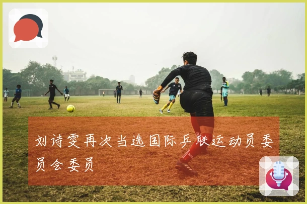 刘诗雯再次当选国际乒联运动员委员会委员